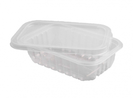 Imagen miniatura de KIT POTE TAPA 250ML RECTANGULAR PP C25