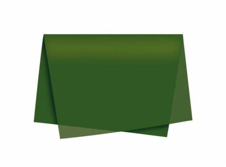 Imagen de PAPEL SEDA CROMUS LISO VERDE MUSGO 49X69 C100