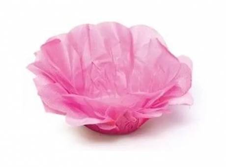 Imagen de FORMA ROSAS DULCES SF COLOR ROSA CLARO C40  CROMUS (In)