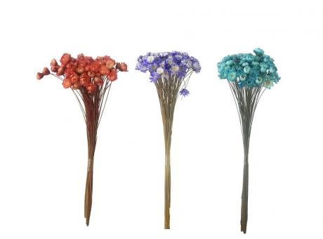 Imagen de FLORES SECAS PQ COLORES SURTIDOS