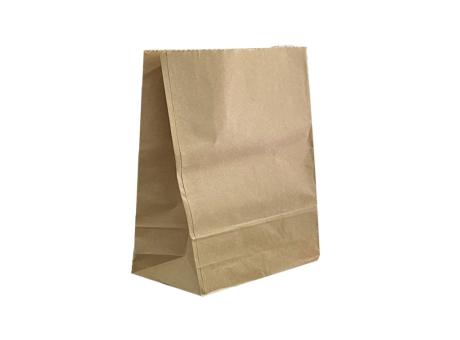 CP BOLSA DE PAPEL DELIVERY 04 25X32 C100