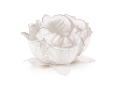Imagen miniatura de FORMITA DULCE FLORAL HAPPY MOMENTS OFF WHITE C30