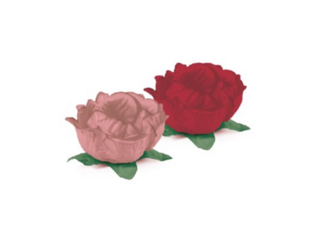 Imagen de FORMITA DULCE FLORAL COMPOSE ROSA TE ROJO C30