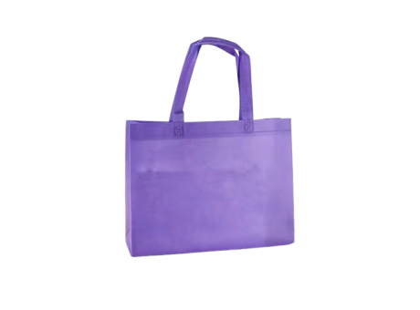 BOLSO TNT 10P (39X34X10CM) PURPURA