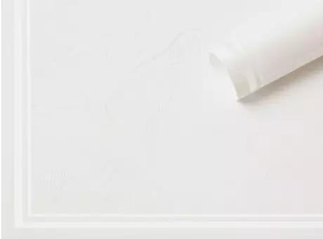 Imagen miniatura de PAPEL P/REGALO FLOR MAGNOLIA 58X58 (20 UNIDADES) 6 COLORES PDR-MULA SLR