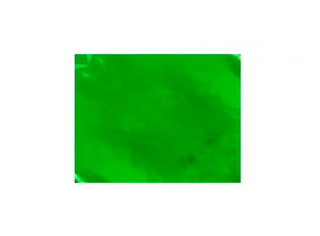 HOJA CHUMBO 43,5X59 LISO VERDE C200