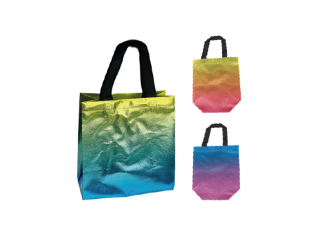 BOLSA LAMINADA TNT (22X11X23CM) MIX