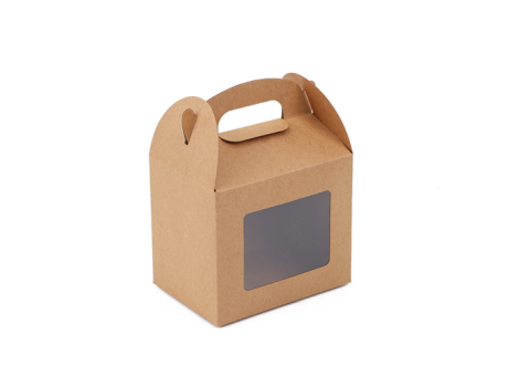 CAJA MALETIN 23X17X6 C/ VISOR PK029