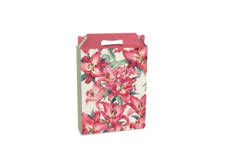 CAJA MALETA RET VERT GRD COLOR RUBY 21X7,5X26