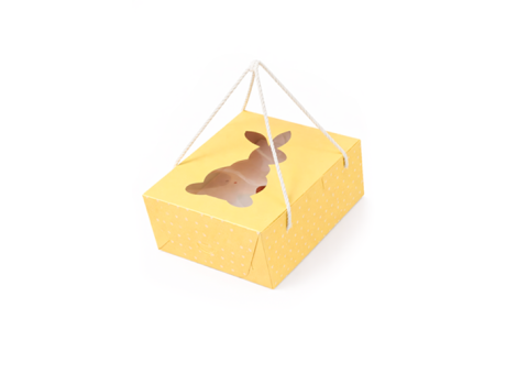 CAJA MALETIN 24,5X17,5X9 CM CREMA CONEJO