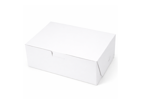 CAJA MALETÍN BLANCO 24,5X17X9