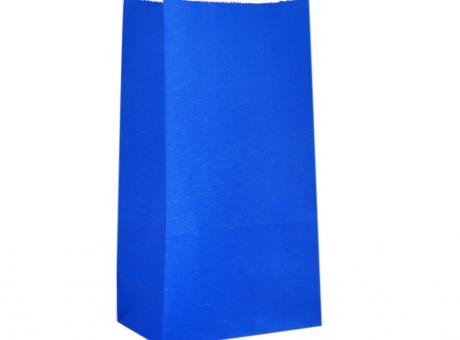 BOLSA PAPEL 10P (13X24X8) AZUL