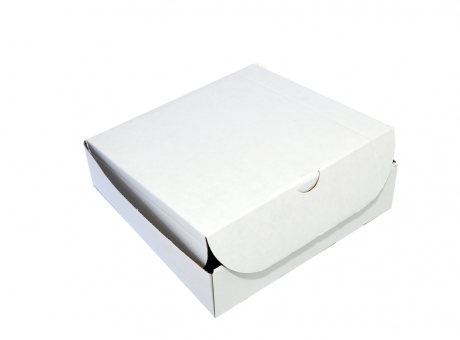 CAJA BLANCA 25X25X7 - PY