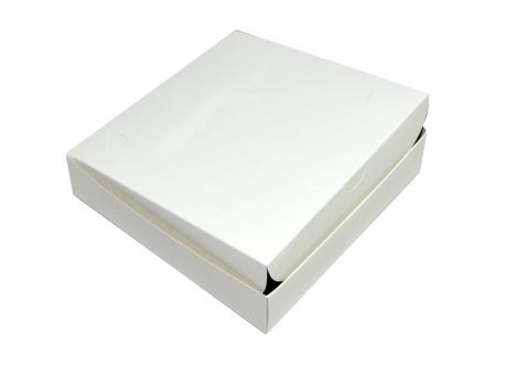 Imagen de CAJA MALETIN BL MEDIANA 24.5X24.5X6 GE