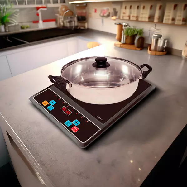 Imagen miniatura de PLACA INFRARROJA TOKYO + OLLA 2000W MULTIFUNCIÓN CON TIMER