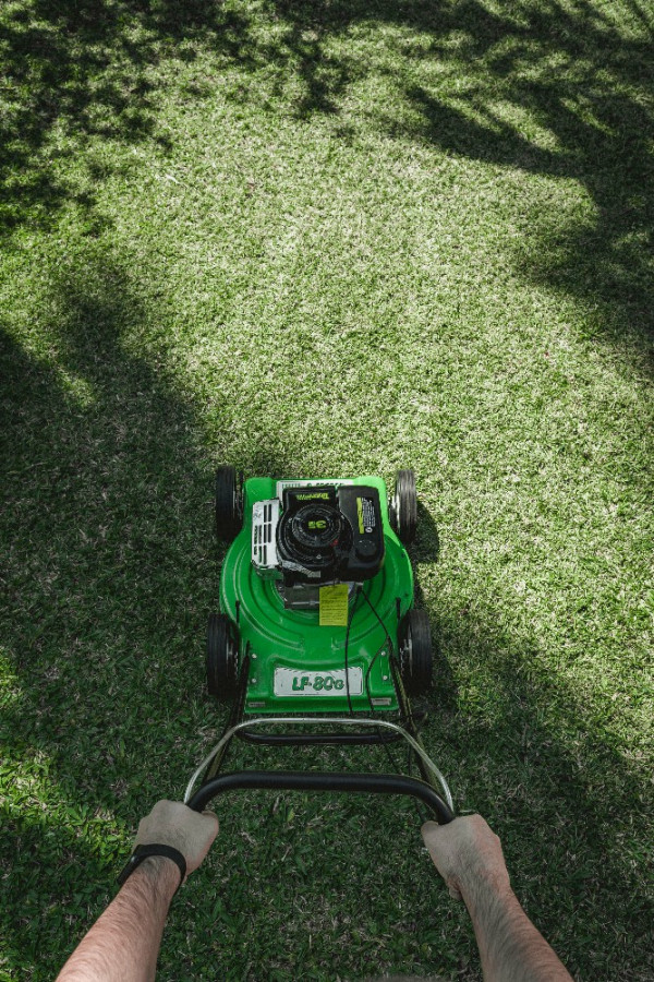 Imagen de CORTACESPED TRAPP LF-80G NAFTERO 3.5HP S/ BOLSA