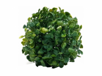 Imagen miniatura de PLANTA ARTIFICIAL ESFERA (13CM) VERDE