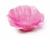Imagen miniatura de FORMA ROSAS DULCES SF COLOR ROSA CLARO C40 CROMUS (In)