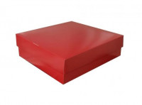 Imagen miniatura de CAJA REGALO ROJO RESISTENTE HASTA 5,5 KG 28X29X9CM