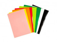 Imagen miniatura de CARPETA ARCHIVADORA PLAST