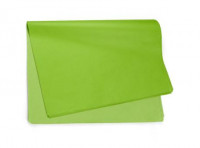 Imagen miniatura de HOJA POLI LISO VERDE PISTACHE 49X69CM UNIDAD
