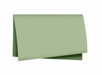 Imagen miniatura de HOJA POLI DOBLE CARA 68X65 PAPER LOOK VERDE FICUS/VERDE CHA UNIDAD