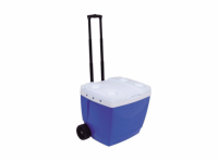 Imagen miniatura de CONSERVADORA 42 LTS C/ RUEDA AZUL MOR (SW)