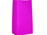 Imagen miniatura de BOLSA PAPEL 10P (13X24X8) FUCSIA